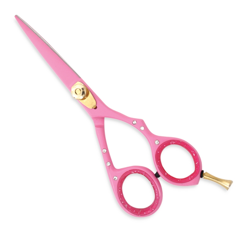 Professional Hair Cutting Scissors